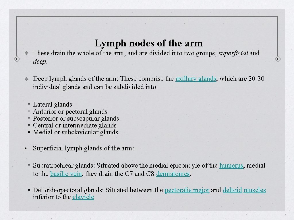 Lymph nodes of the arm These drain the whole of the arm, and are