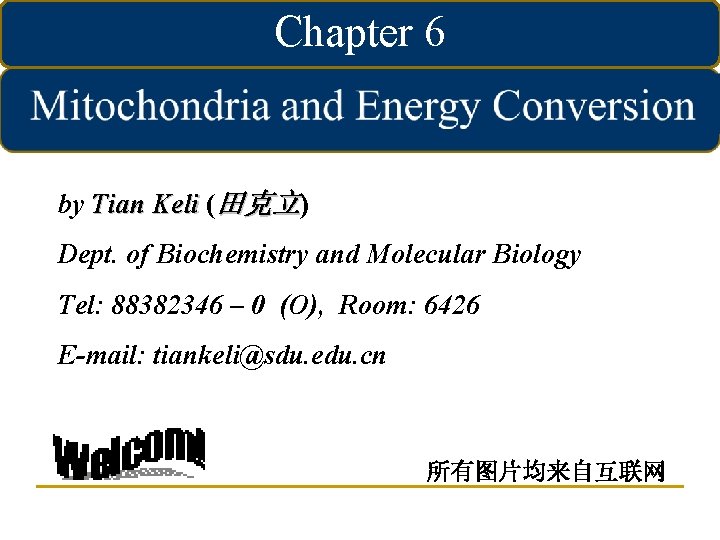 Chapter 6 by Tian Keli (田克立) Dept. of Biochemistry and Molecular Biology Tel: 88382346