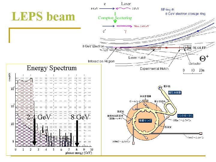 LEPS beam Energy Spectrum 2. 4 Ge. V 8 Ge. V LEPS beam Energy Spectrum 2. 4 Ge. V 8 Ge. V