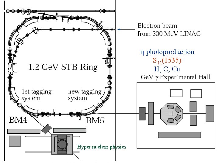 h photoproduction S 11(1535) H, C, Cu Hyper nuclear physics h photoproduction S 11(1535) H, C, Cu Hyper nuclear physics