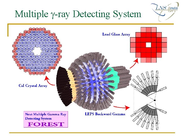 Multiple g-ray Detecting System Multiple g-ray Detecting System