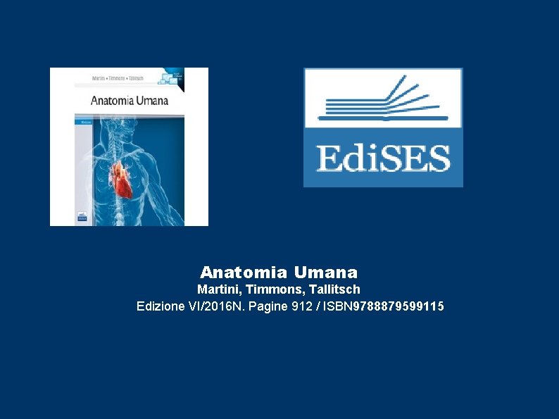 Anatomia Umana Martini, Timmons, Tallitsch Edizione VI/2016 N. Pagine 912 / ISBN 9788879599115 