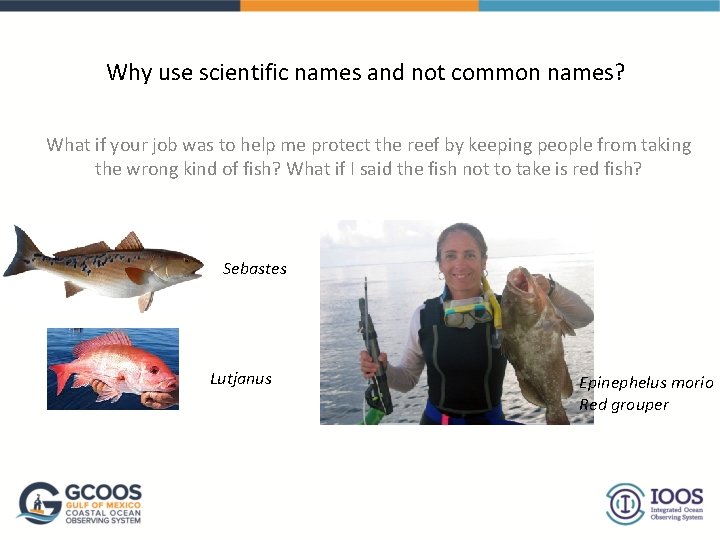 Why use scientific names and not common names? What if your job was to