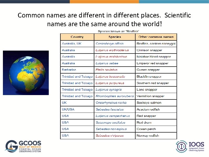 Common names are different in different places. Scientific names are the same around the