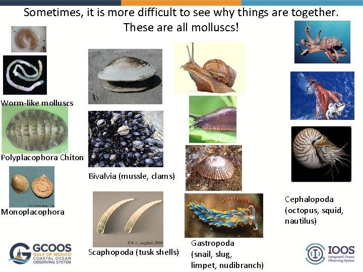 Sometimes, it is more difficult to see why things are together. These are all