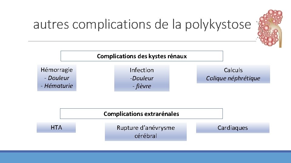 autres complications de la polykystose Complications des kystes rénaux Hémorragie - Douleur - Hématurie