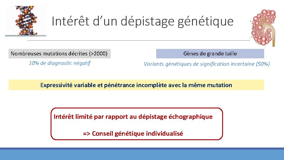 Intérêt d’un dépistage génétique Nombreuses mutations décrites (>2000) 10% de diagnostic négatif Gènes de