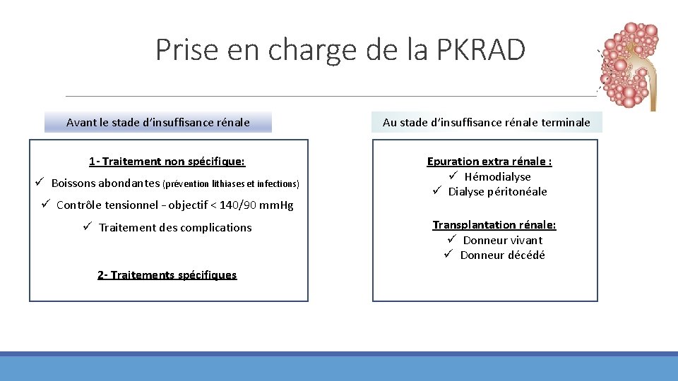 Prise en charge de la PKRAD Avant le stade d’insuffisance rénale 1 - Traitement