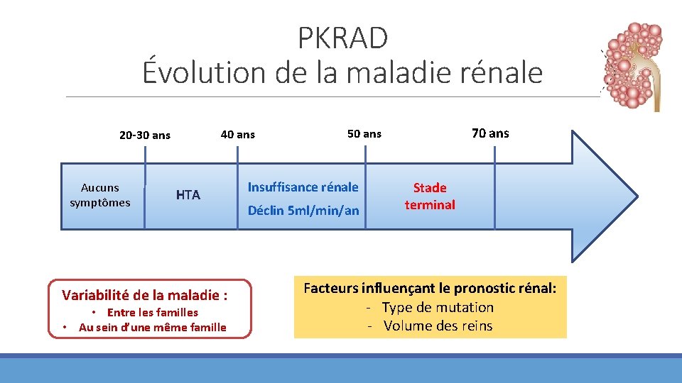 PKRAD Évolution de la maladie rénale Aucuns symptômes HTA Variabilité de la maladie :