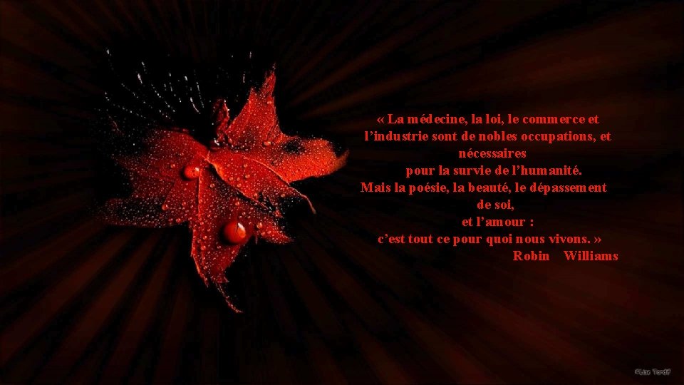  « La médecine, la loi, le commerce et l’industrie sont de nobles occupations,