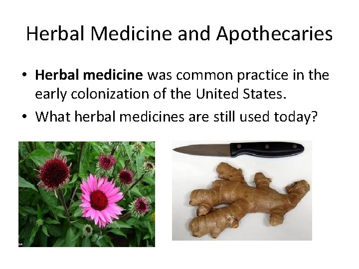 Herbal Medicine and Apothecaries • Herbal medicine was common practice in the early colonization