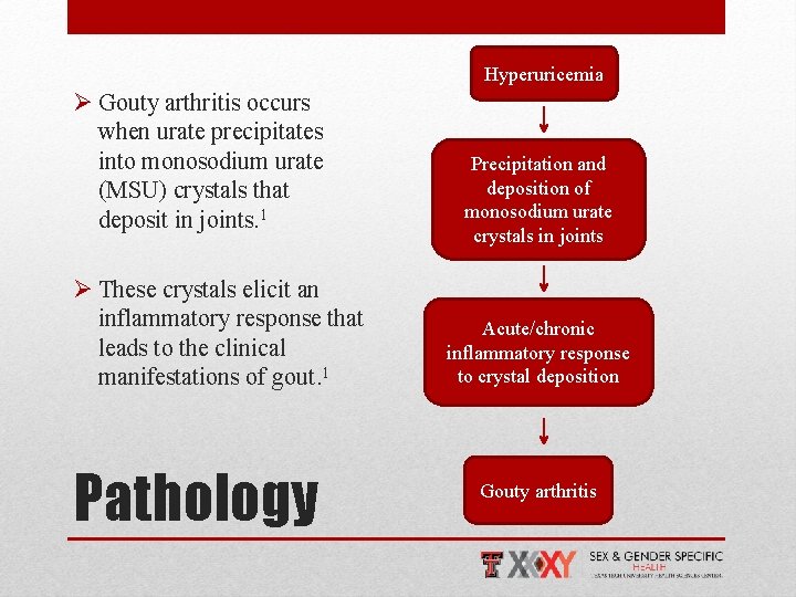 Hyperuricemia Ø Gouty arthritis occurs when urate precipitates into monosodium urate (MSU) crystals that