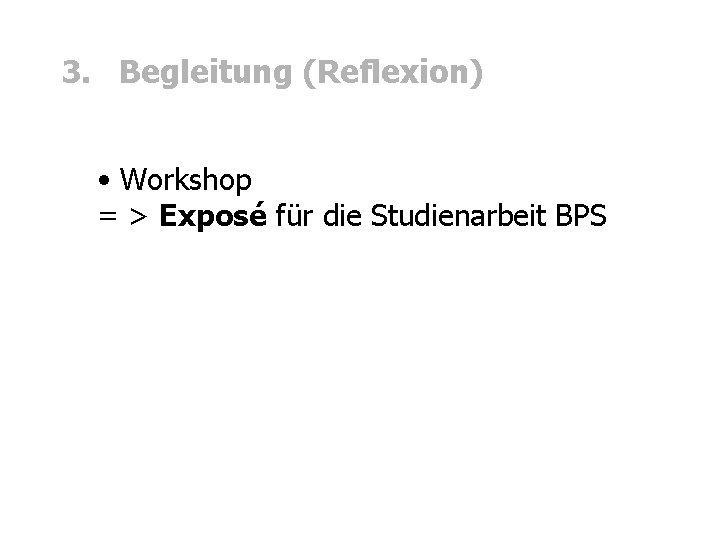 3. Begleitung (Reflexion) • Workshop = > Exposé für die Studienarbeit BPS 