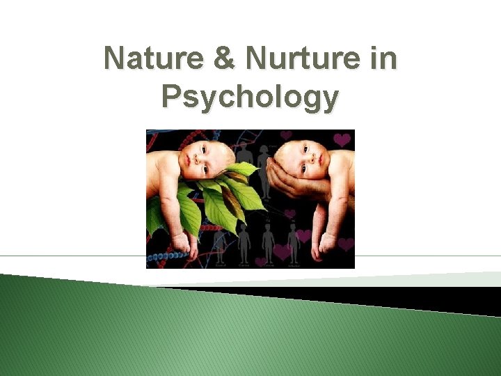 Nature & Nurture in Psychology 