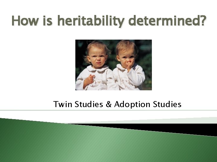 How is heritability determined? Twin Studies & Adoption Studies 