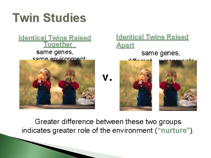 Twin Studies Identical Twins Raised Apart same genes, different environments Identical Twins Raised Together