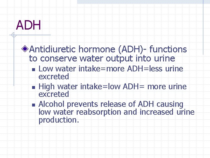 ADH Antidiuretic hormone (ADH)- functions to conserve water output into urine n n n