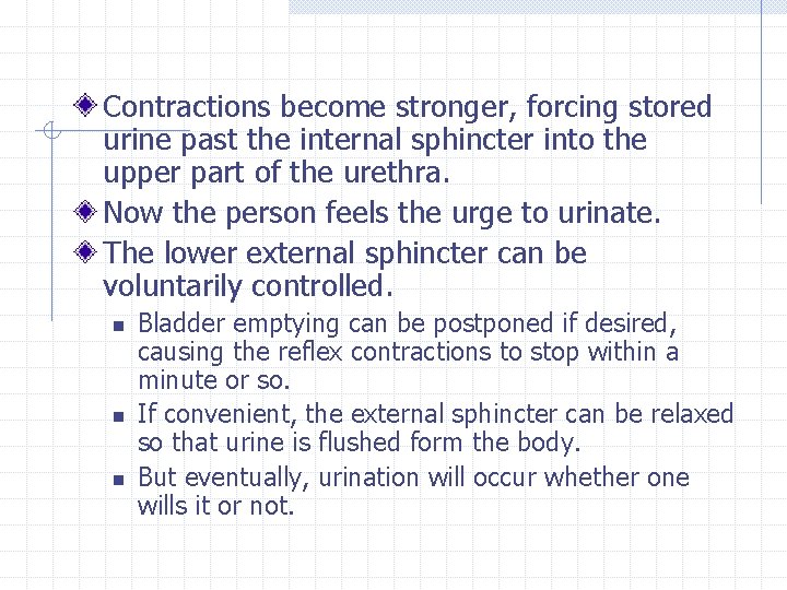 Contractions become stronger, forcing stored urine past the internal sphincter into the upper part