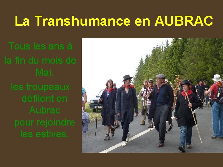 La Transhumance en AUBRAC Tous les ans à la fin du mois de Mai,