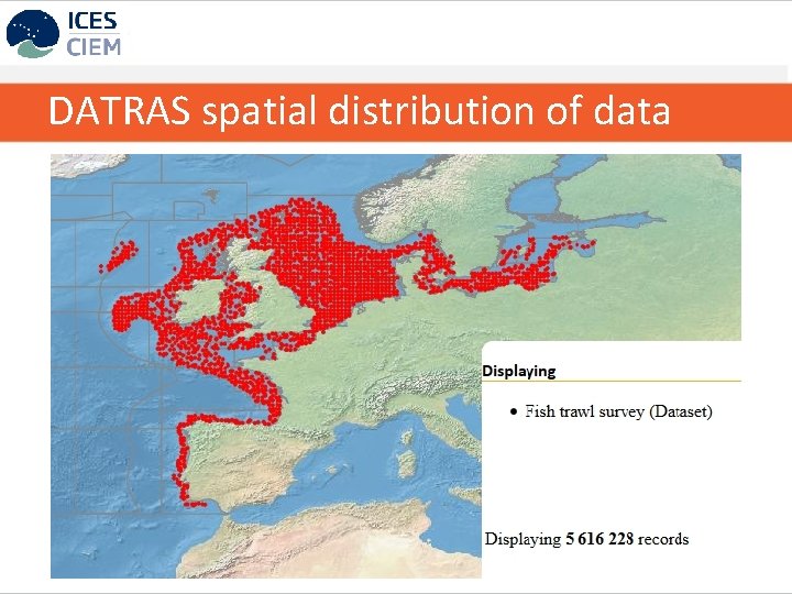 DATRAS spatial distribution of data 