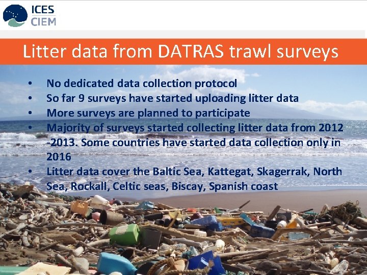 Litter data from DATRAS trawl surveys • • • No dedicated data collection protocol