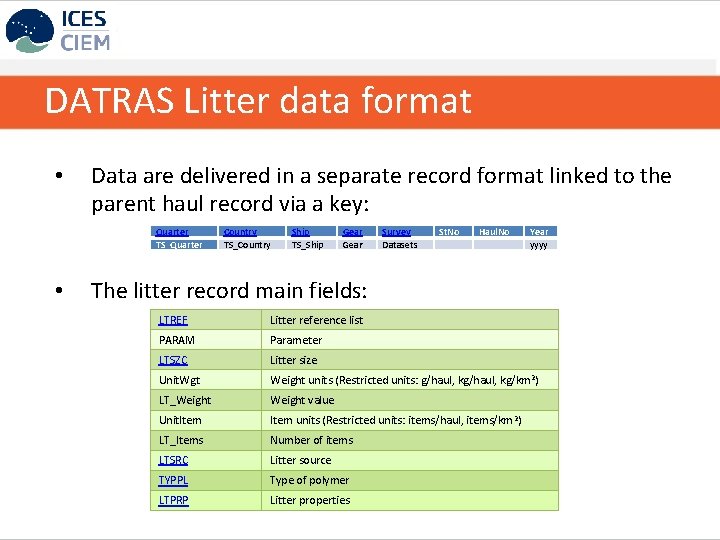 DATRAS Litter data format • Data are delivered in a separate record format linked