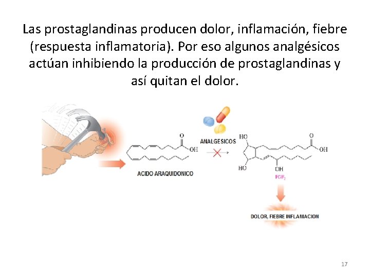 Las prostaglandinas producen dolor, inflamación, fiebre (respuesta inflamatoria). Por eso algunos analgésicos actúan inhibiendo