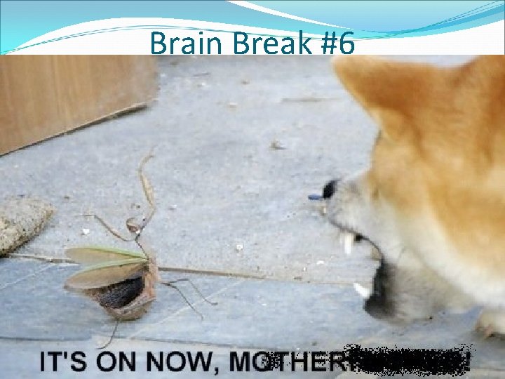 Brain Break #6 