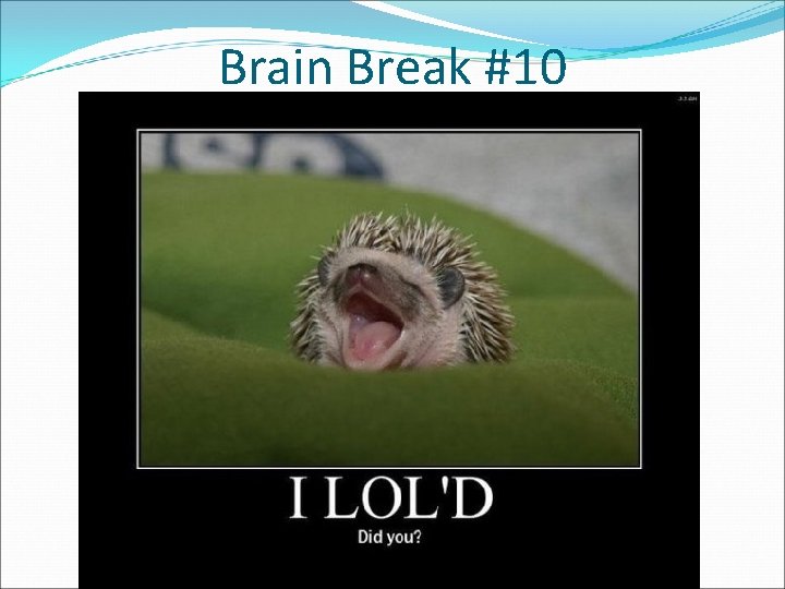 Brain Break #10 