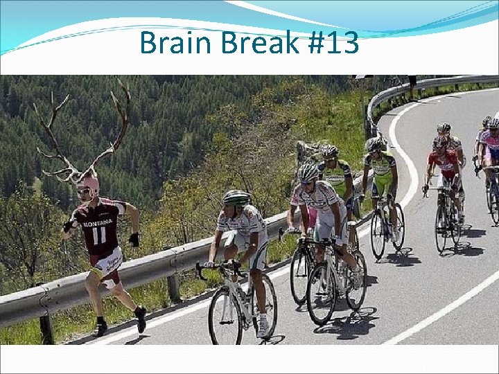 Brain Break #13 