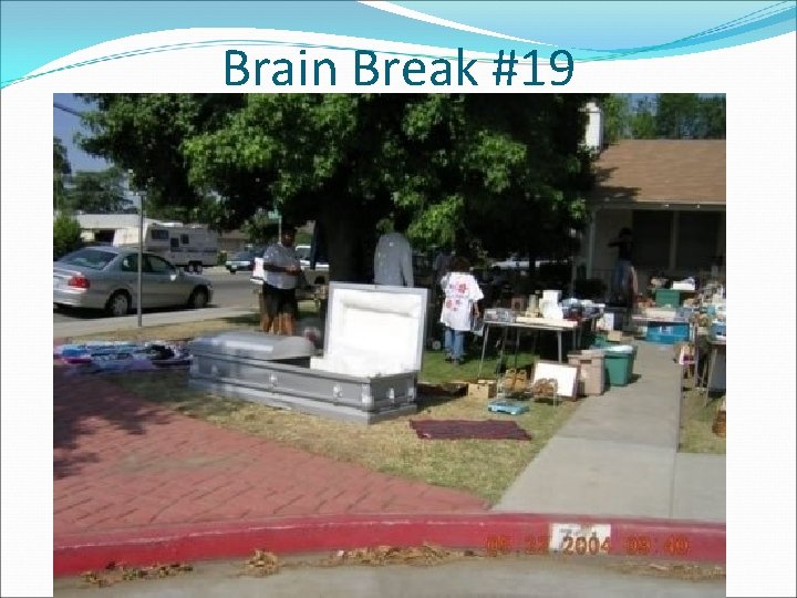 Brain Break #19 