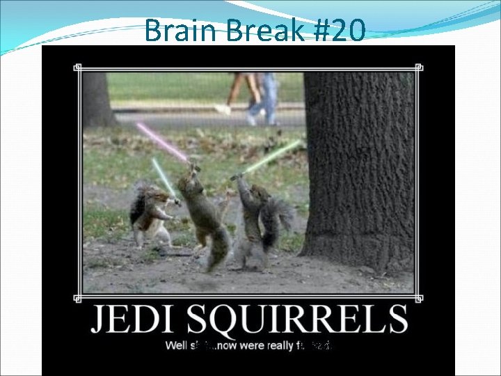 Brain Break #20 