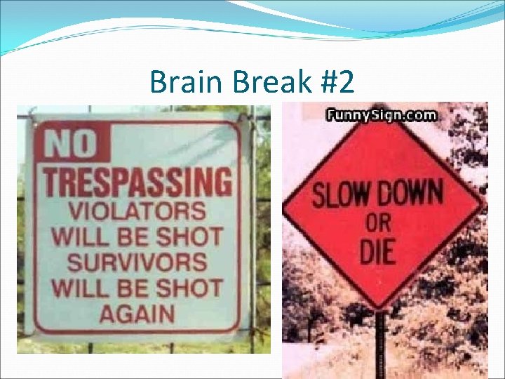 Brain Break #2 