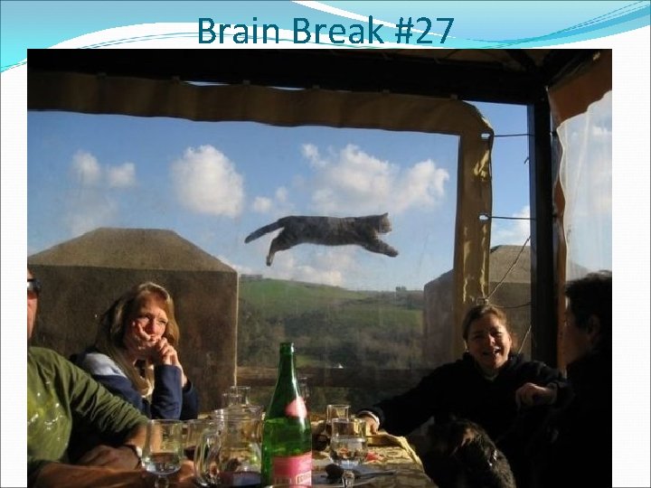 Brain Break #27 