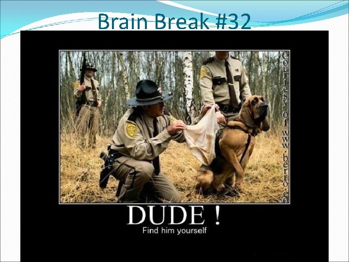 Brain Break #32 