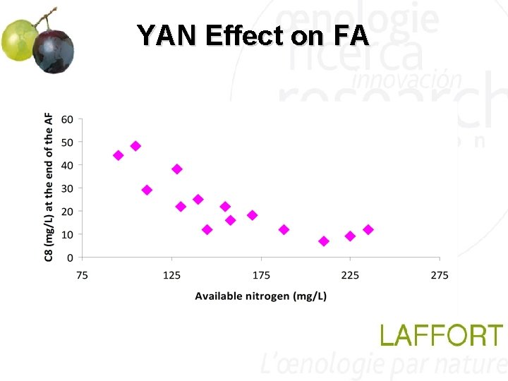 YAN Effect on FA YAN Effect on FA