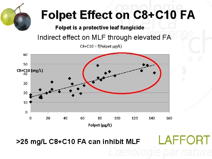 Folpet Effect on C 8+C 10 FA Folpet is a protective leaf fungicide Indirect Folpet Effect on C 8+C 10 FA Folpet is a protective leaf fungicide Indirect