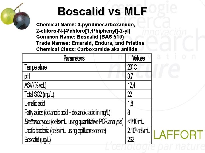 Boscalid vs MLF Chemical Name: 3 -pyridinecarboxamide, 2 -chloro-N-(4’chloro[1, 1’biphenyl]-2 -yl) Common Name: Boscalid