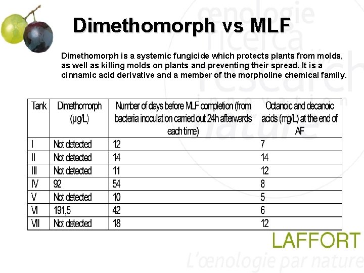 Dimethomorph vs MLF Dimethomorph is a systemic fungicide which protects plants from molds, as Dimethomorph vs MLF Dimethomorph is a systemic fungicide which protects plants from molds, as