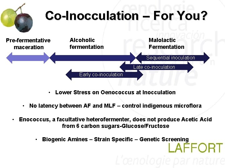 Co-Inocculation – For You? Pre-fermentative maceration Alcoholic fermentation Malolactic Fermentation Sequential inoculation Late co-inoculation Co-Inocculation – For You? Pre-fermentative maceration Alcoholic fermentation Malolactic Fermentation Sequential inoculation Late co-inoculation