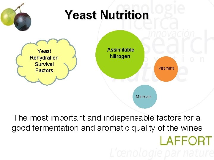 Yeast Nutrition Yeast Rehydration Survival Factors Assimilable Nitrogen Vitamins Minerals The most important and Yeast Nutrition Yeast Rehydration Survival Factors Assimilable Nitrogen Vitamins Minerals The most important and