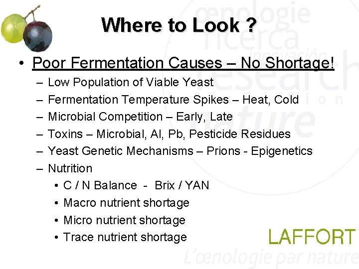 Where to Look ? • Poor Fermentation Causes – No Shortage! – – – Where to Look ? • Poor Fermentation Causes – No Shortage! – – –
