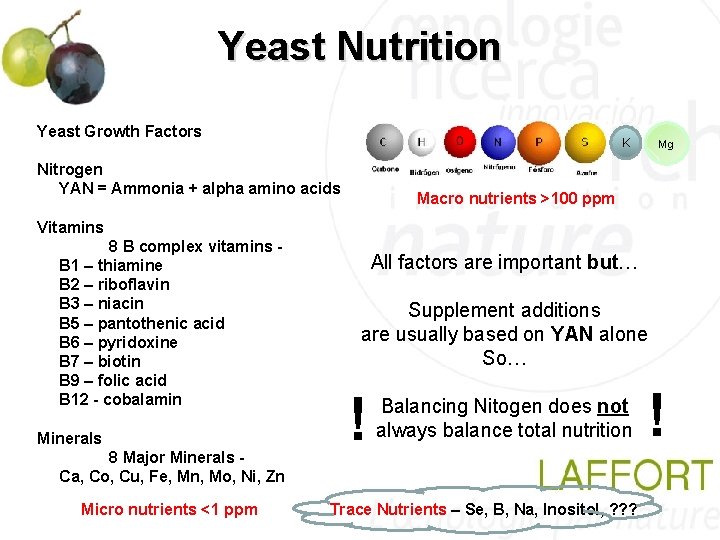 Yeast Nutrition Yeast Growth Factors K Nitrogen YAN = Ammonia + alpha amino acids Yeast Nutrition Yeast Growth Factors K Nitrogen YAN = Ammonia + alpha amino acids