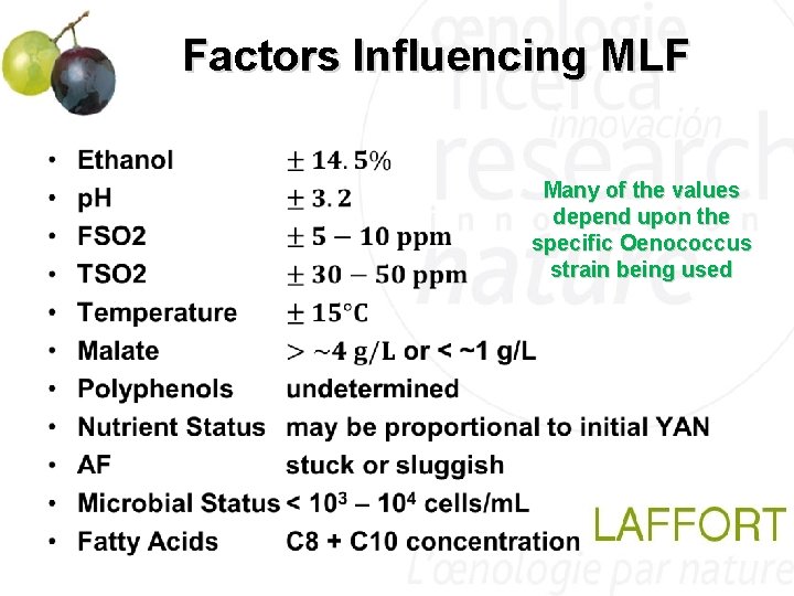 Factors Influencing MLF • Many of the values depend upon the specific Oenococcus strain Factors Influencing MLF • Many of the values depend upon the specific Oenococcus strain
