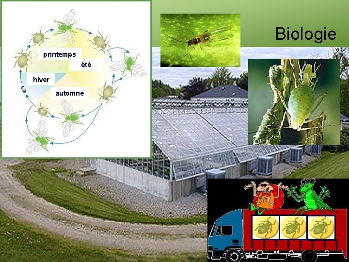 Biologie printemps été hiver automne 