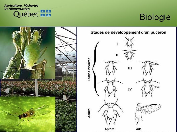 Biologie 