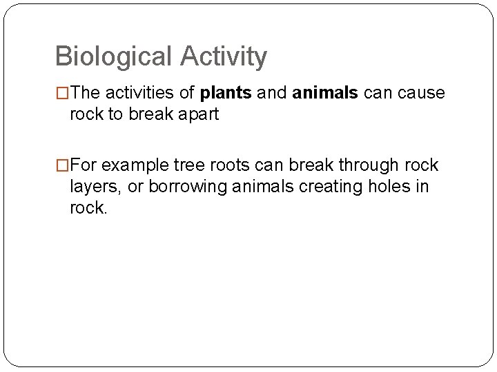 Biological Activity �The activities of plants and animals can cause rock to break apart