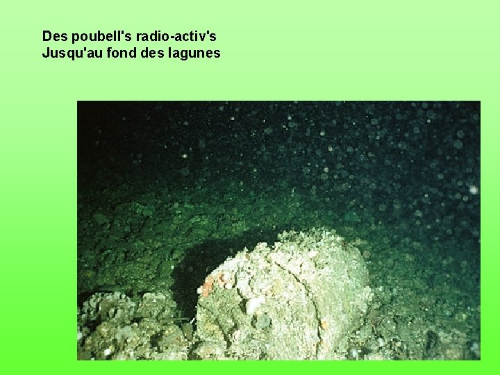 Des poubell's radio-activ's Jusqu'au fond des lagunes 