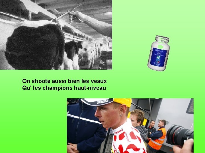 On shoote aussi bien les veaux Qu' les champions haut-niveau 
