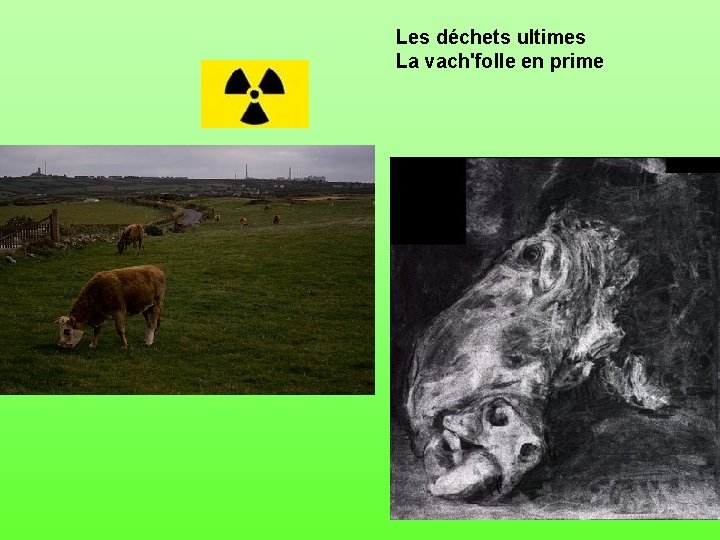 Les déchets ultimes La vach'folle en prime 